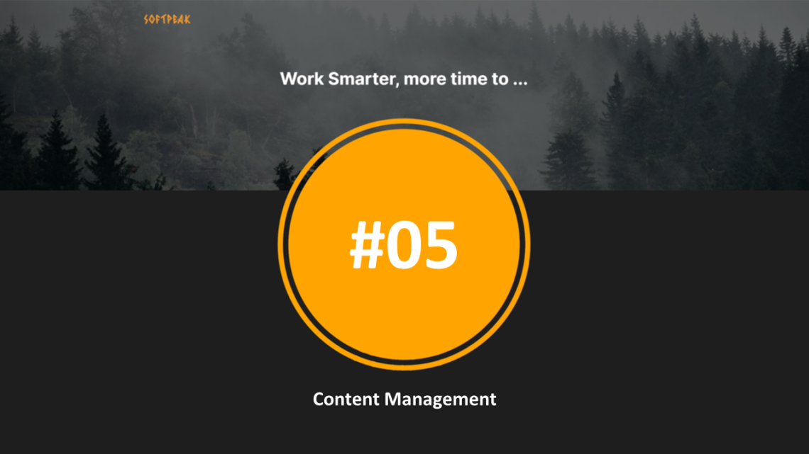 SoftPeak #5 – Content Management